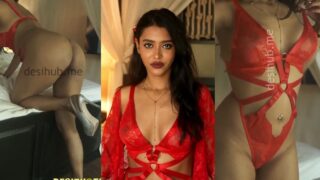 Famous Indian Actress Thea D’Souza Red Lingerie Leaked Video